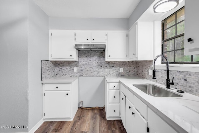 29 Summer Ln, Poplarville, MS 39470 - kitchen with a sink, under cabinet range hood, white cabinetry, backsplash, and dark wood-style floors