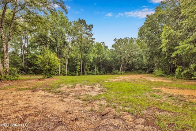29 Summer Ln, Poplarville, MS 39470 - view of yard with a wooded view