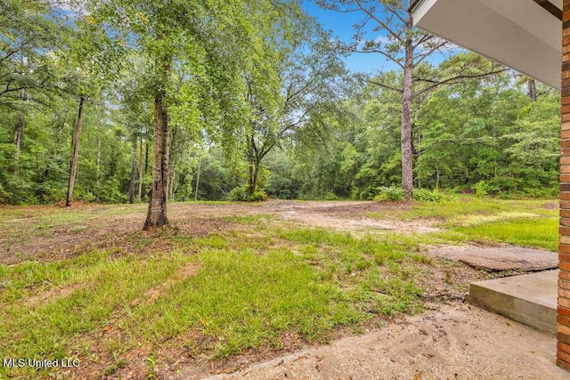 29 Summer Ln, Poplarville, MS 39470 - view of yard featuring a view of trees