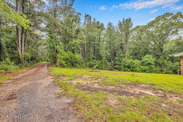 29 Summer Ln, Poplarville, MS 39470 - view of street featuring a wooded view