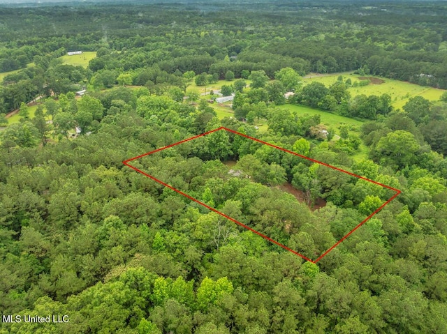 29 Summer Ln, Poplarville, MS 39470 - aerial view of property and surrounding area with a forest and property parcel outlined