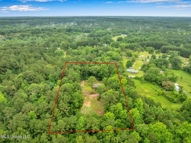 29 Summer Ln, Poplarville, MS 39470 - aerial view of property and surrounding area with a forest and property boundaries highlighted