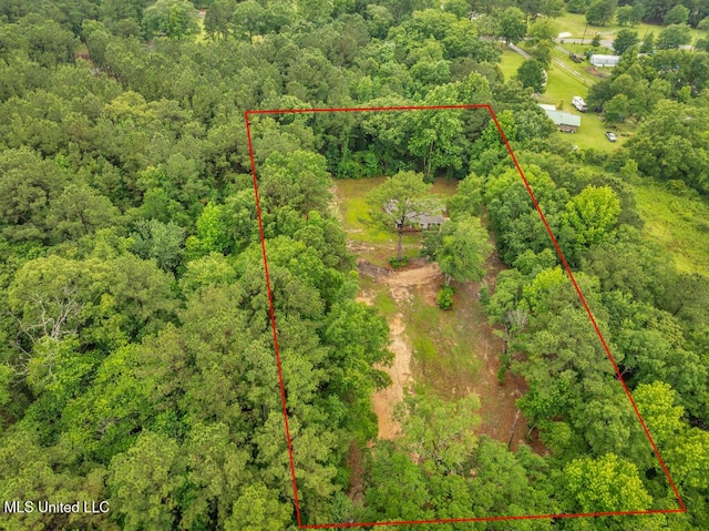 29 Summer Ln, Poplarville, MS 39470 - aerial view of property and surrounding area with property parcel outlined and a forest