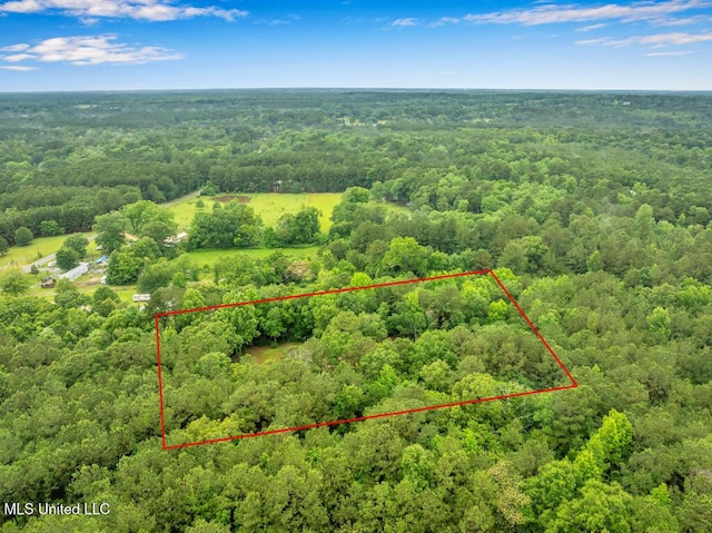 29 Summer Ln, Poplarville, MS 39470 - aerial view of property's location featuring a forest and property parcel outlined