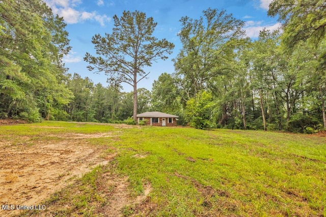 29 Summer Ln, Poplarville, MS 39470 - view of yard with a wooded view