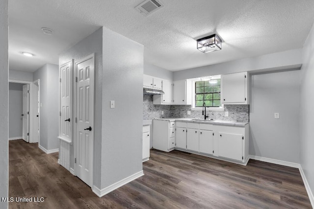 29 Summer Ln, Poplarville, MS 39470 - kitchen with a sink, under cabinet range hood, dark wood finished floors, white cabinets, and light countertops