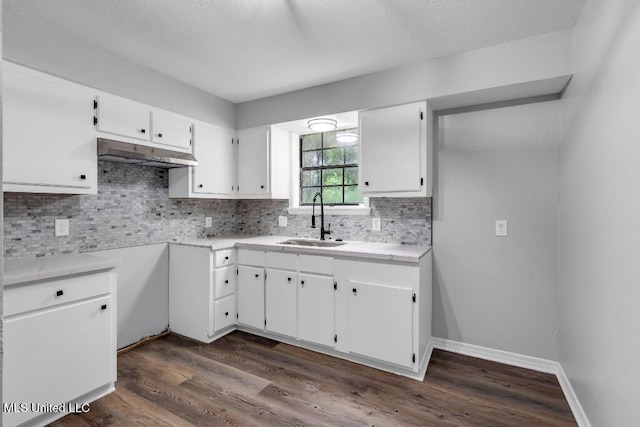 29 Summer Ln, Poplarville, MS 39470 - kitchen featuring a sink, backsplash, white cabinetry, dark wood-style flooring, and light countertops