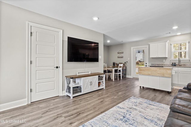 living room featuring sink and hardwood / wood-style flooring