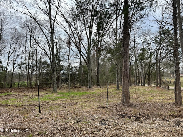 Listing photo 2 for N Old Canton Rd, Canton MS 39046