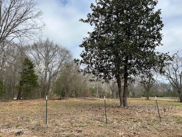 Listing photo 3 for N Old Canton Rd, Canton MS 39046