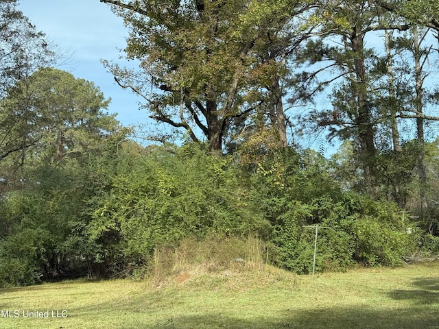 view of local wilderness