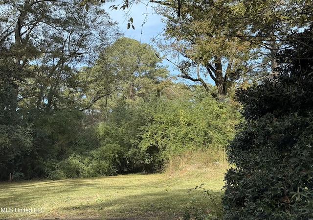 view of landscape