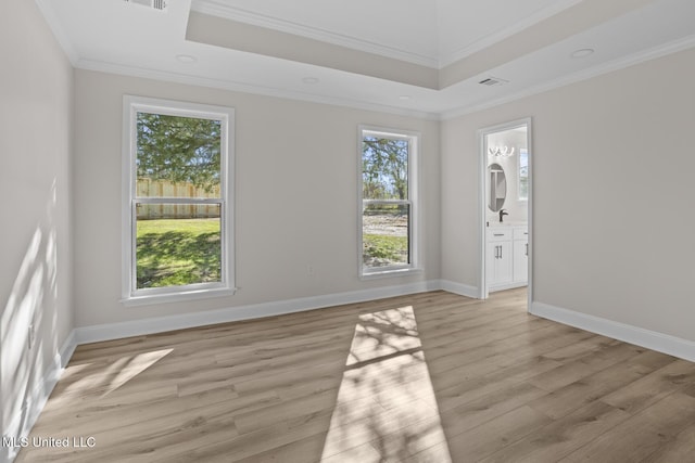 spare room with a healthy amount of sunlight, a tray ceiling, and ornamental molding