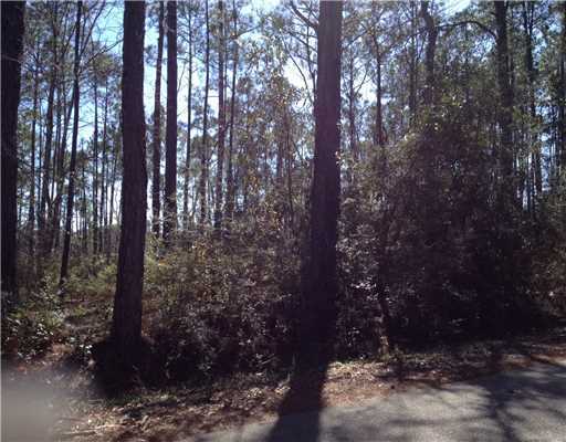 Listing photo 2 for LOT15 Pickering Forest Dr, Ocean Springs MS 39564