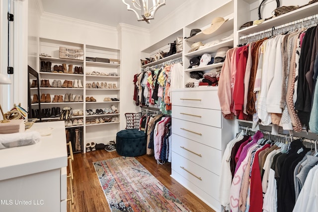 spacious closet featuring wood finished floors and a chandelier