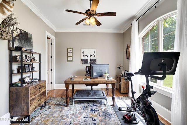 office with plenty of natural light, ornamental molding, a ceiling fan, and wood finished floors