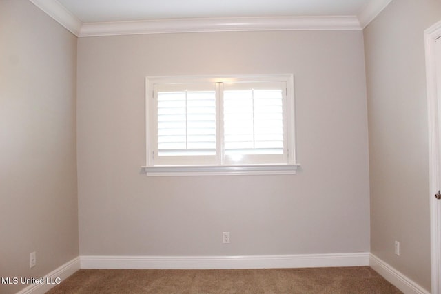 unfurnished room featuring carpet flooring and ornamental molding