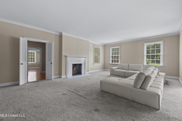 300 S 21st Ave, Hattiesburg, MS 39401 - living area featuring ornamental molding, carpet flooring, baseboards, and a fireplace with flush hearth