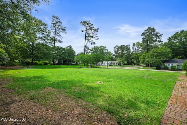 300 S 21st Ave, Hattiesburg, MS 39401 - view of green lawn with view of scattered trees
