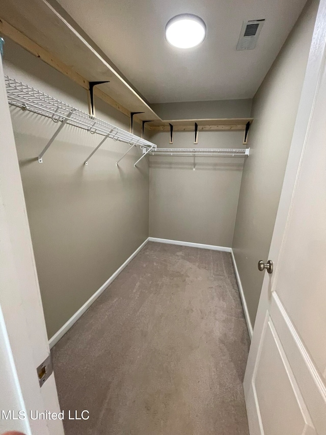 walk in closet with carpet flooring