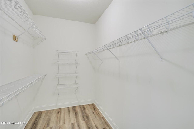 409 Sand Stone Pl, Brandon, MS 39042 - walk in closet with light wood-style flooring