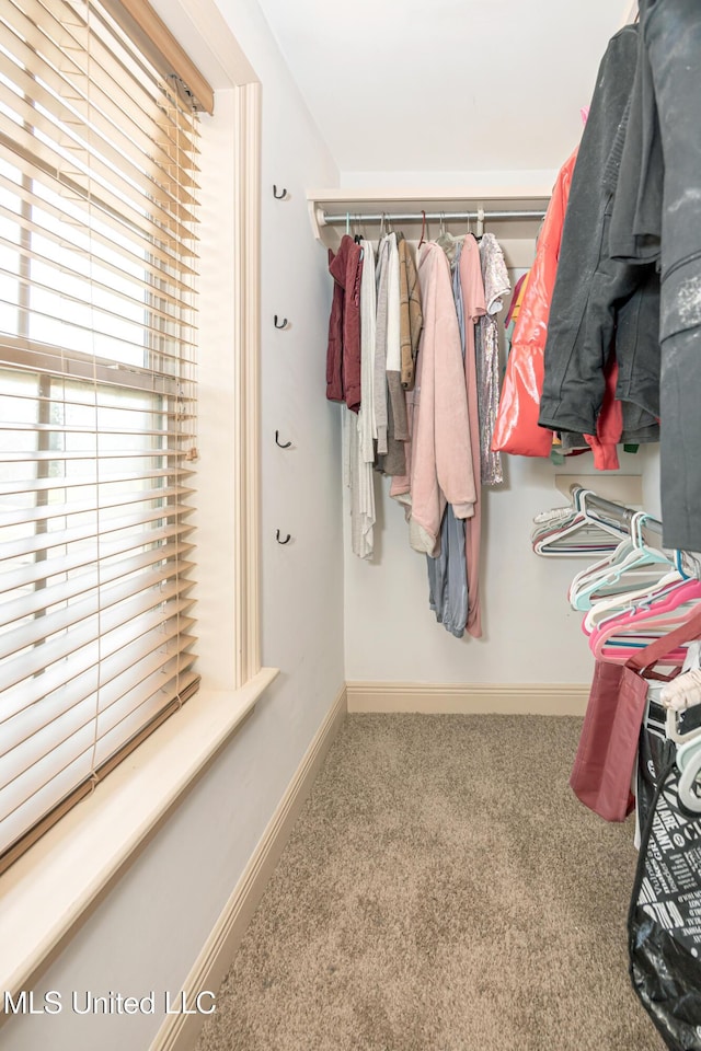 3927 Acadian Village Dr, Ocean Springs, MS 39564 - walk in closet with carpet floors