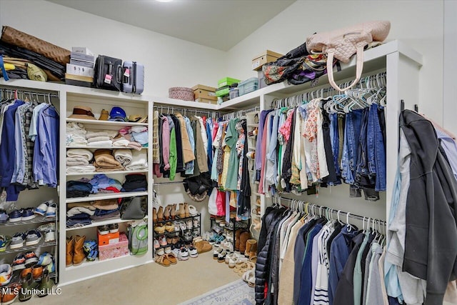 110 Crossview Pl, Brandon, MS 39047 - view of spacious closet
