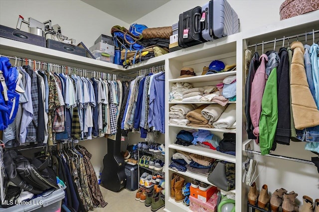 110 Crossview Pl, Brandon, MS 39047 - view of walk in closet