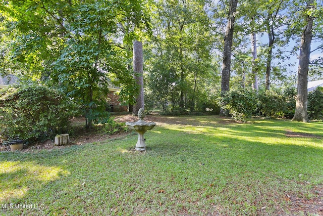 29 Avery Cir, Jackson, MS 39211 - view of green lawn