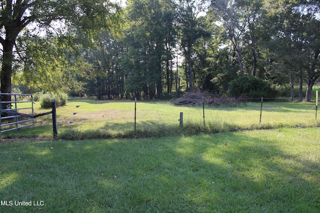 294 Yandell Rd, Canton, MS 39046 - view of yard