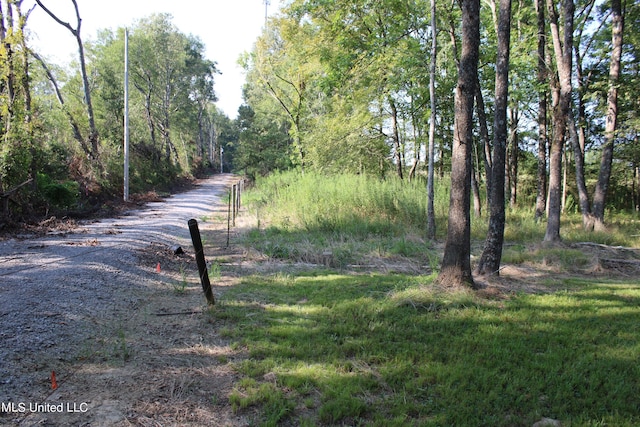 294 Yandell Rd, Canton, MS 39046 - view of road