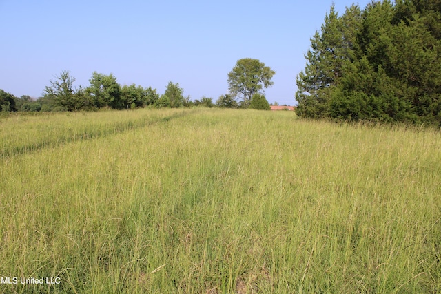 294 Yandell Rd, Canton, MS 39046 - view of undeveloped land