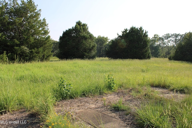 294 Yandell Rd, Canton, MS 39046 - view of local wilderness