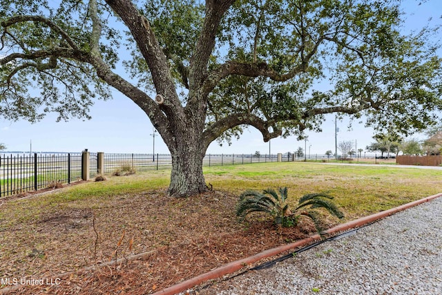 view of yard featuring a rural view