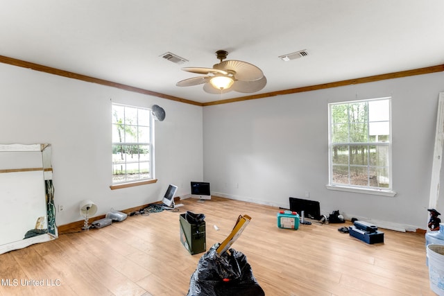 workout room featuring ceiling fan, ornamental molding, and hardwood / wood-style floors