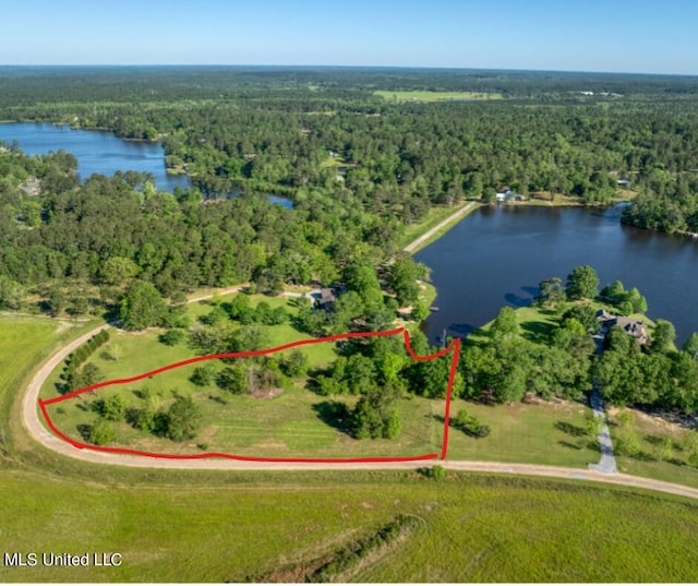 2ACRES Hummingbird Ln, Perkinston MS, 39573 land for sale