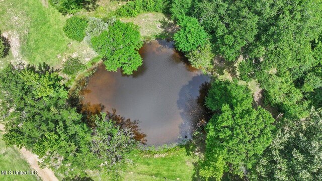 869 B Parks Rd, Pickens, MS 39146 - aerial view of a large body of water
