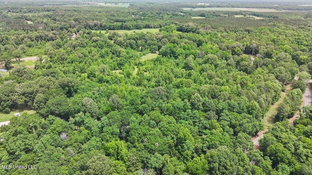 869 B Parks Rd, Pickens, MS 39146 - bird's eye view of a forest