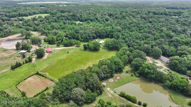 869 B Parks Rd, Pickens, MS 39146 - aerial view of property's location featuring a large body of water, a forest, and rural landscape