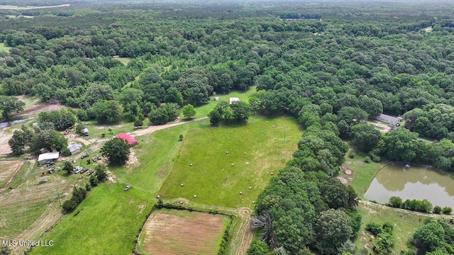 869 B Parks Rd, Pickens, MS 39146 - aerial overview of property's location with a large body of water, a forest, and rural landscape