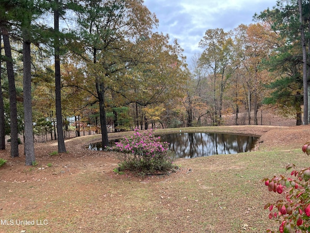 view of yard featuring a water view