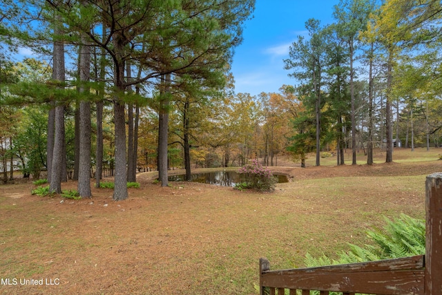 view of yard with a water view