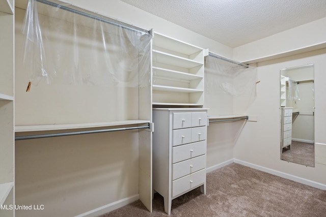 spacious closet featuring carpet flooring