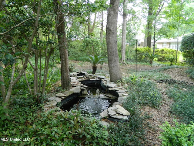 7890 Hilo Way, Diamondhead, MS 39525 - view of yard