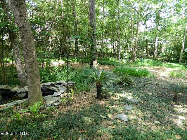 7890 Hilo Way, Diamondhead, MS 39525 - view of yard