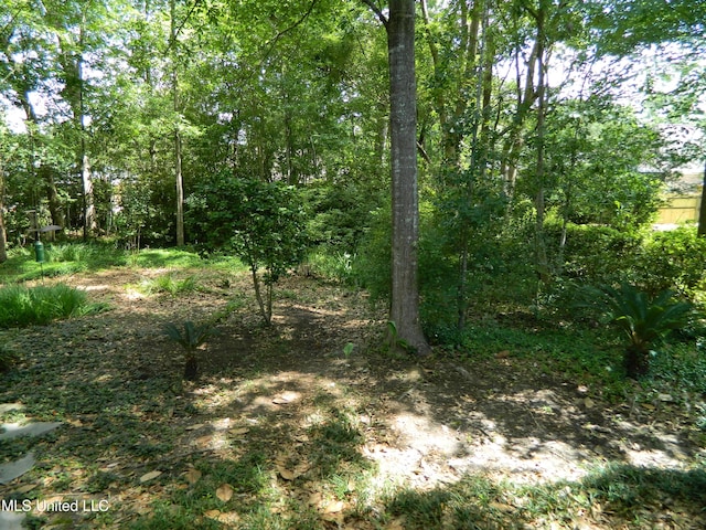 7890 Hilo Way, Diamondhead, MS 39525 - view of undeveloped land