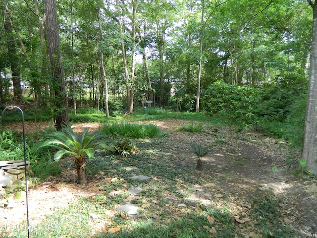 7890 Hilo Way, Diamondhead, MS 39525 - view of local wilderness