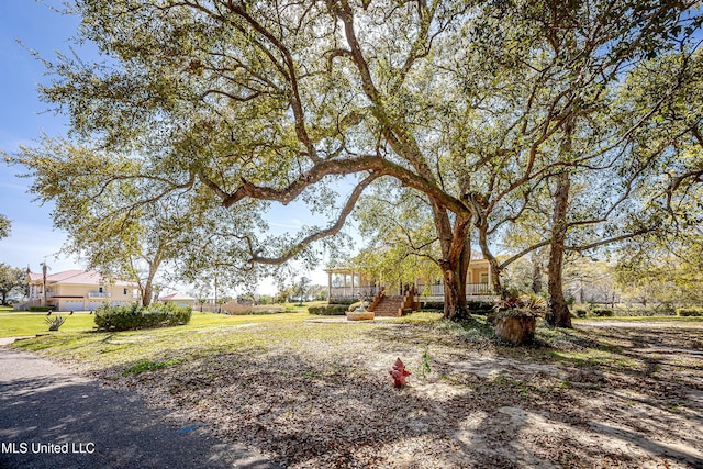 1401 Ladnier Rd, Gautier, MS 39553 - view of yard