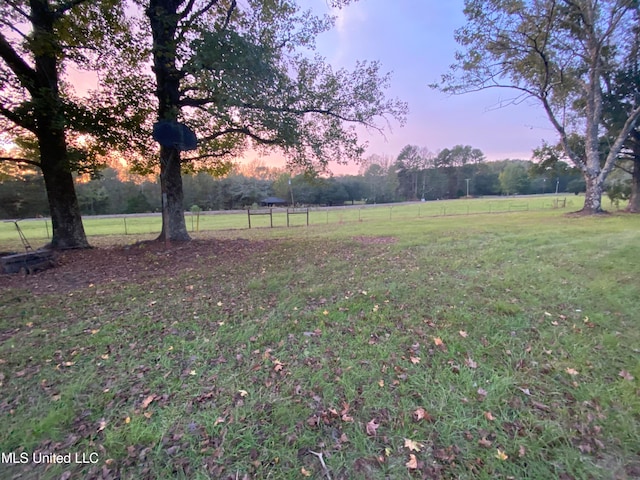 yard at dusk with a rural view