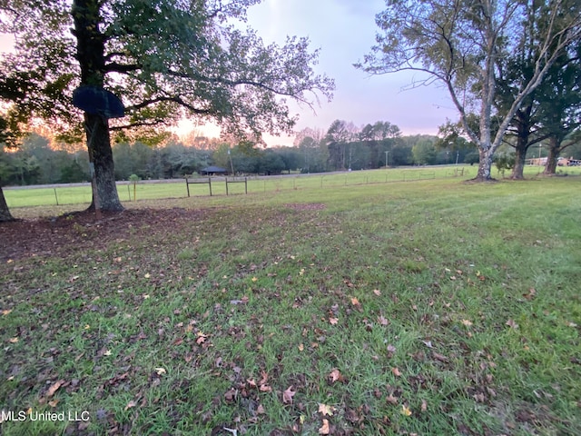 yard at dusk with a rural view